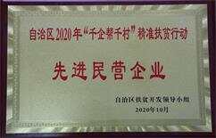 2020年自治區“千企幫千村”精準扶貧行動-先進民營企業